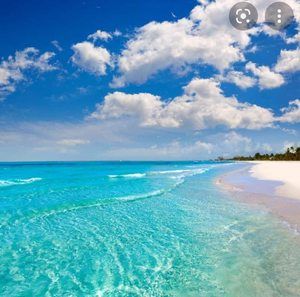 Meet your Posher, Rosemary